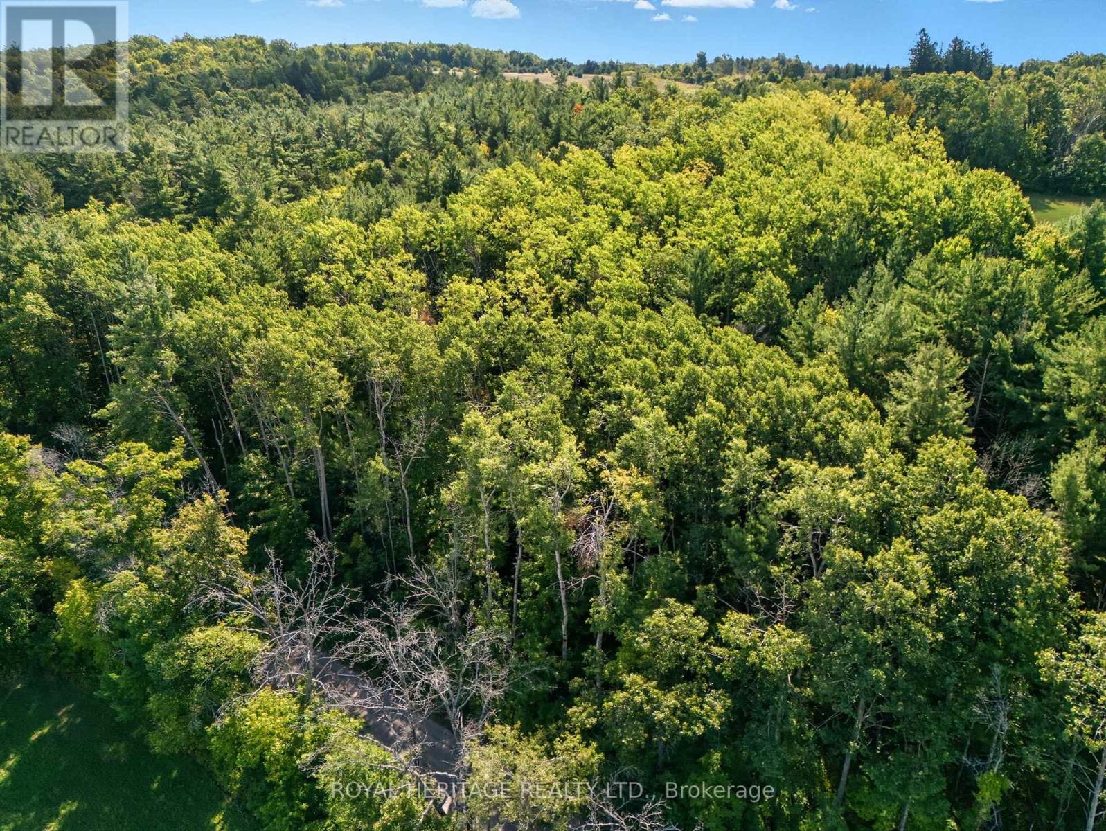 0 Pinewood School Road, Cramahe, Ontario  K0K 1M0 - Photo 21 - X13046430