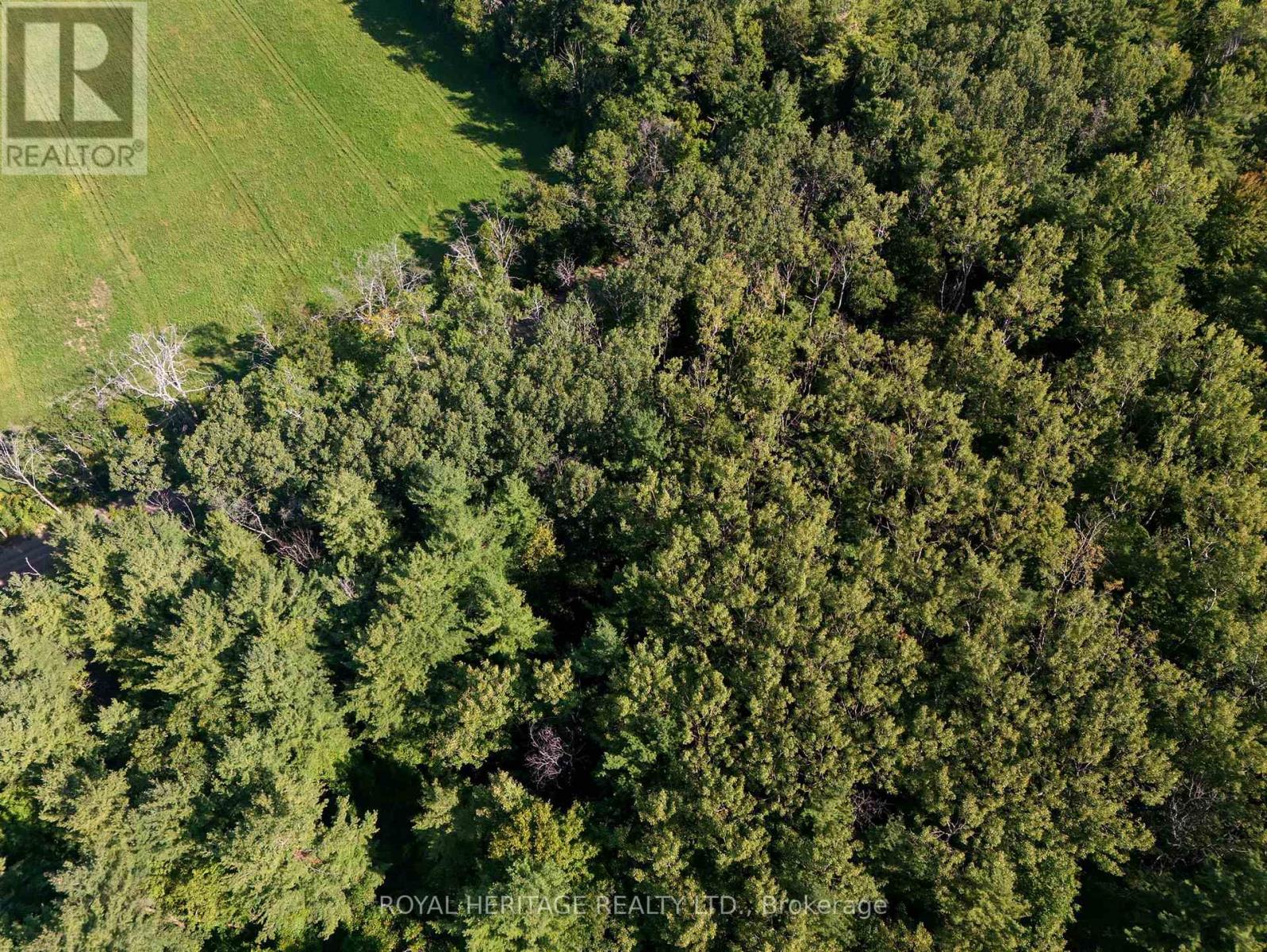 0 Pinewood School Road, Cramahe, Ontario  K0K 1M0 - Photo 24 - X13046430