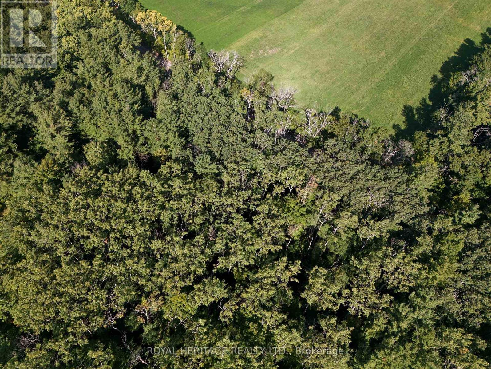 0 Pinewood School Road, Cramahe, Ontario  K0K 1M0 - Photo 25 - X13046430