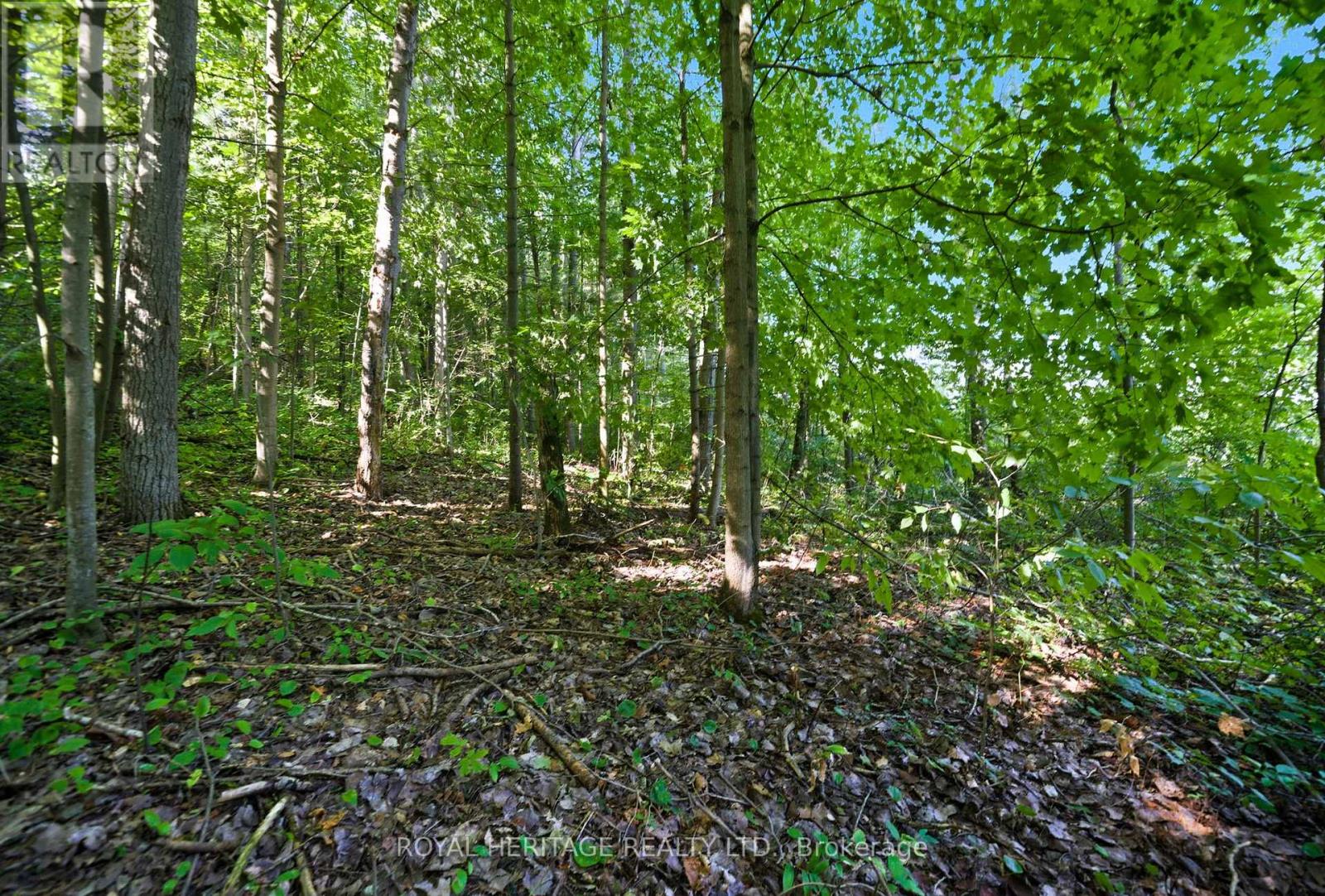 0 Pinewood School Road, Cramahe, Ontario  K0K 1M0 - Photo 6 - X13046430