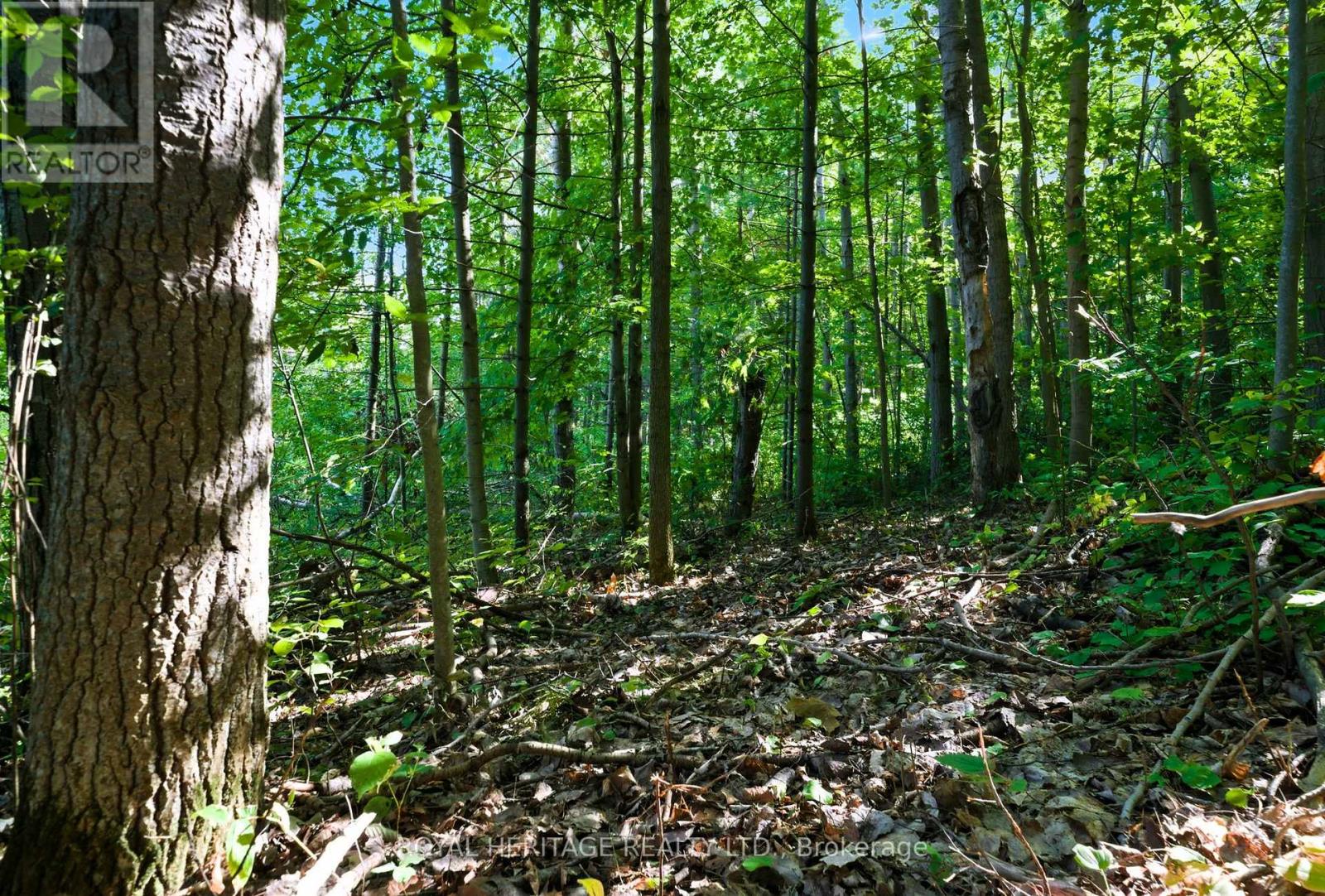 0 Pinewood School Road, Cramahe, Ontario  K0K 1M0 - Photo 7 - X13046430