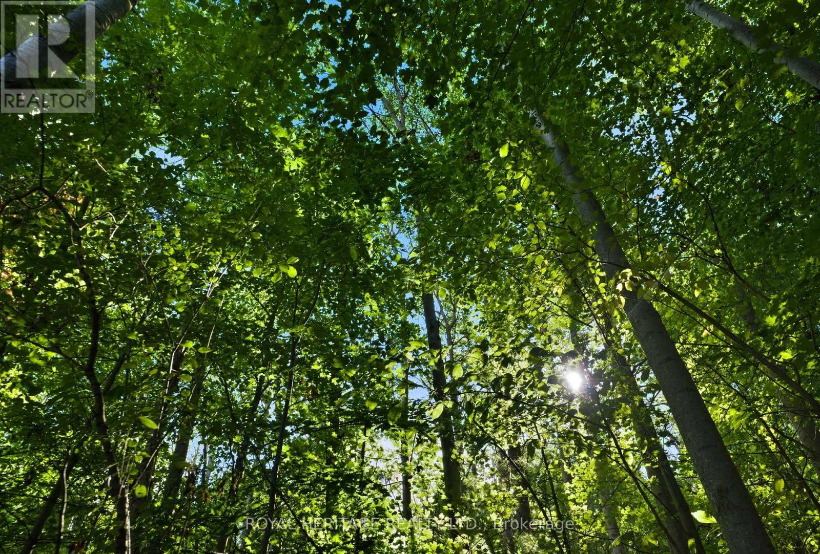 0 Pinewood School Road, Cramahe, Ontario  K0K 1M0 - Photo 8 - X13046430