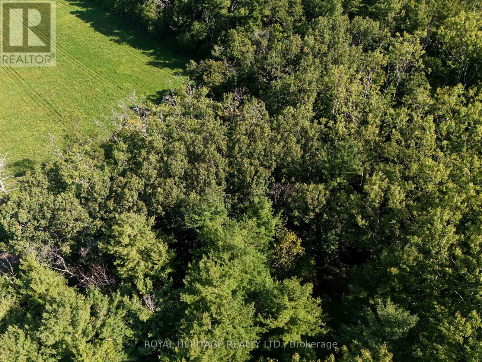 0 Pinewood School Road, Cramahe, Ontario  K0K 1M0 - Photo 9 - X13046430