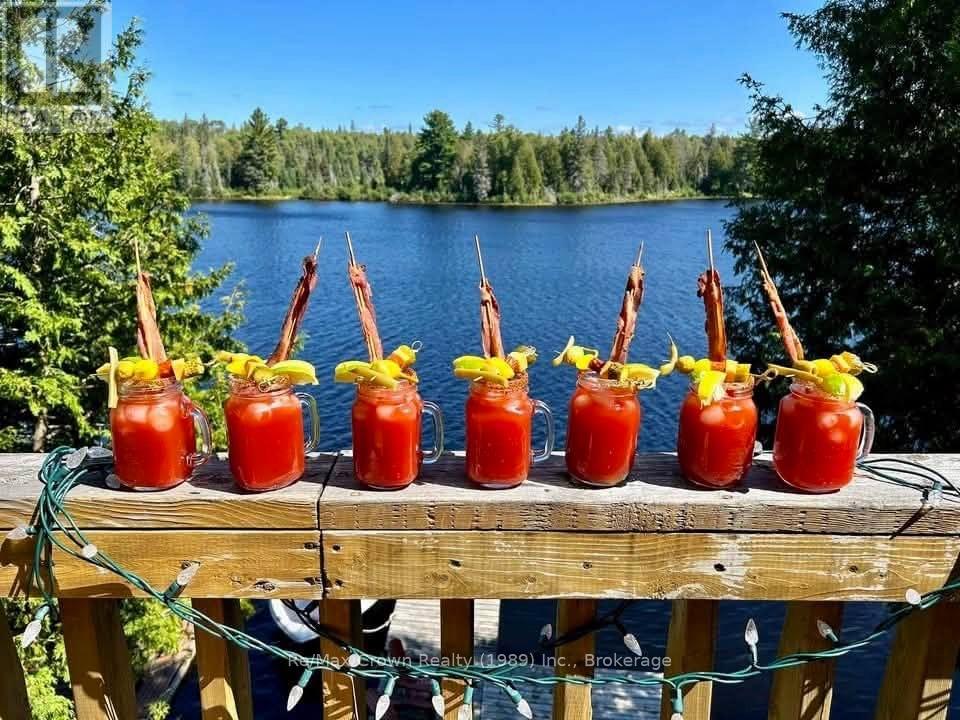 149 White Pine Road, Unorganized Townships, Ontario  P0H 2K0 - Photo 31 - X13046500