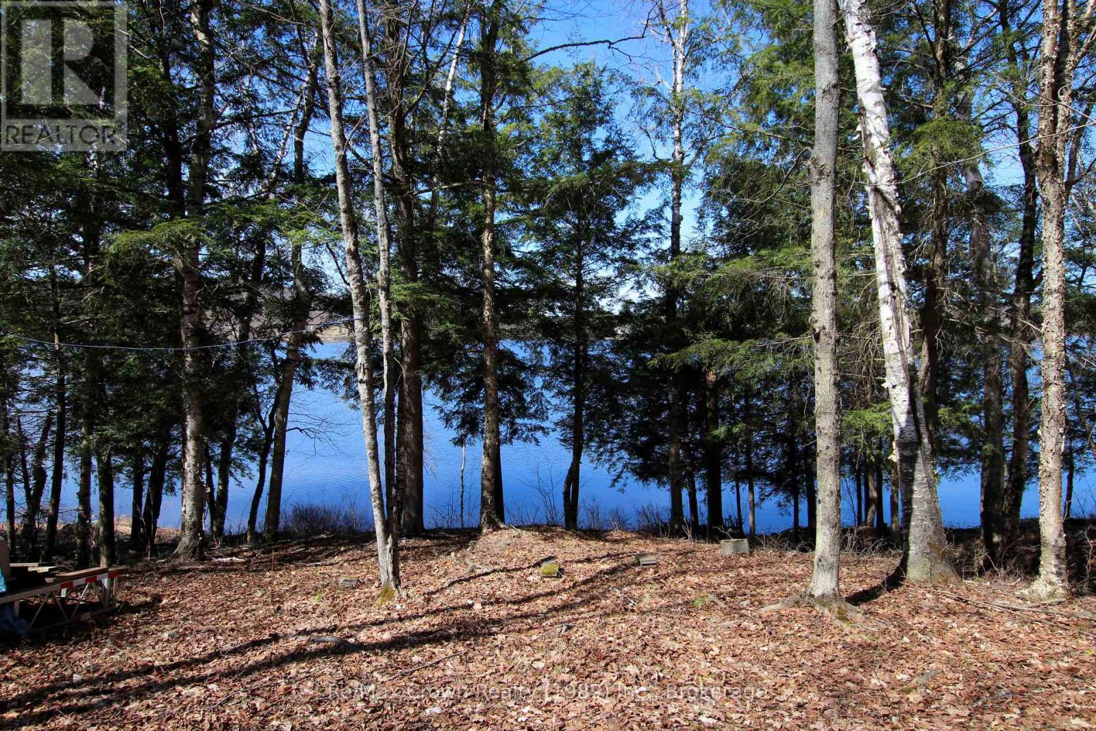 292 Everett Drive, Parry Sound Remote Area, Ontario  P0H 2R0 - Photo 4 - X13046506