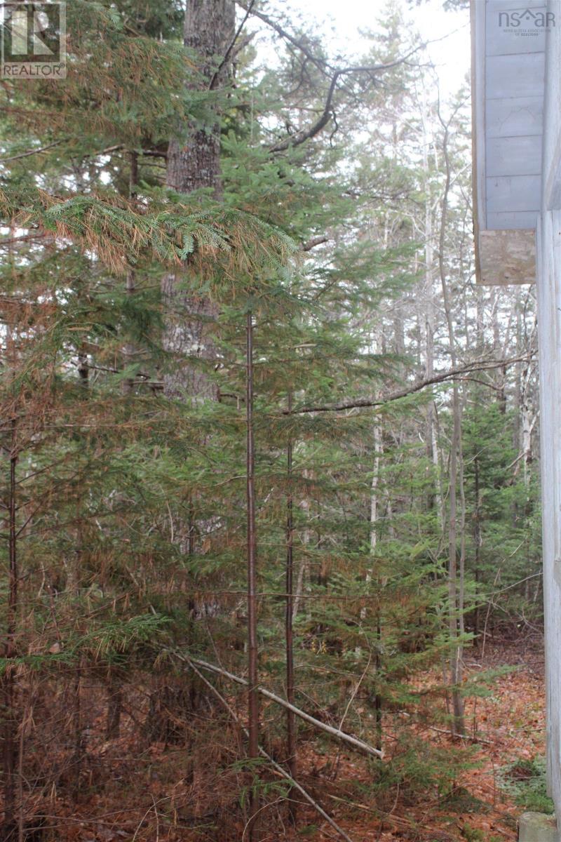 Lot Mirror Point Drive, Graywood, Nova Scotia  B0S 1A0 - Photo 9 - 202529292