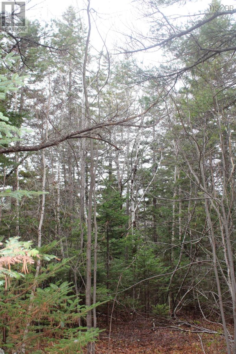 Lot Mirror Point Drive, Graywood, Nova Scotia  B0S 1A0 - Photo 4 - 202529292