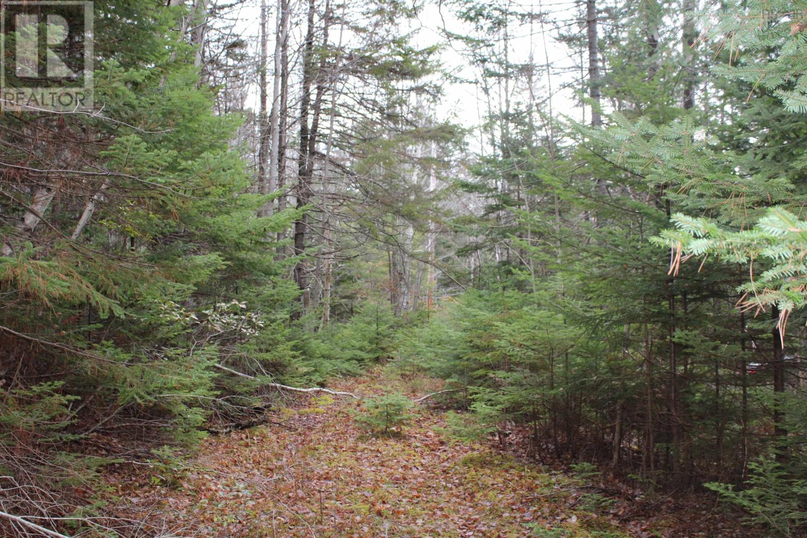 Lot Mirror Point Drive, Graywood, Nova Scotia  B0S 1A0 - Photo 2 - 202529292