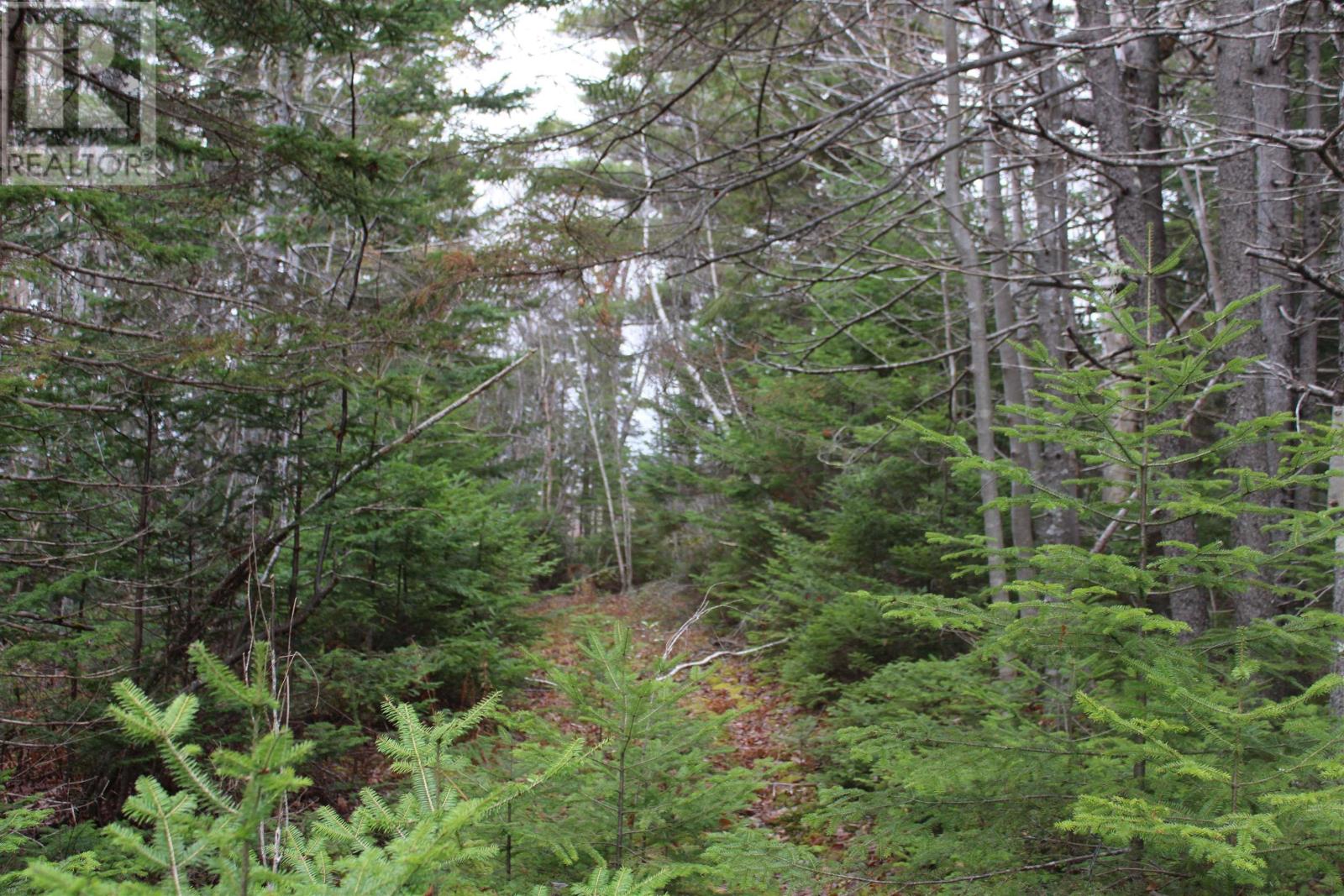 Lot Mirror Point Drive, Graywood, Nova Scotia  B0S 1A0 - Photo 1 - 202529292