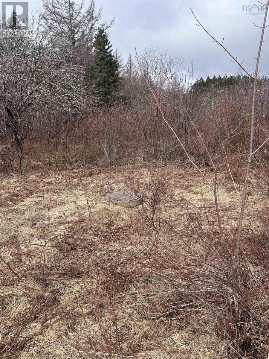 742 Lower River Road, Hureauville, Nova Scotia  B0E 1J0 - Photo 23 - 202607677