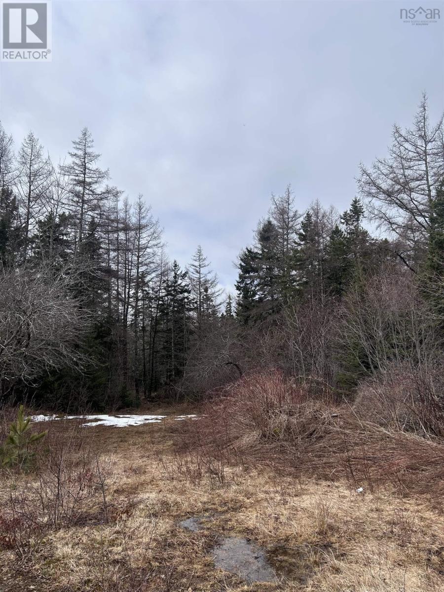 742 Lower River Road, Hureauville, Nova Scotia  B0E 1J0 - Photo 21 - 202607677