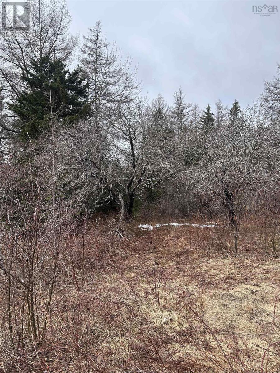 742 Lower River Road, Hureauville, Nova Scotia  B0E 1J0 - Photo 24 - 202607677