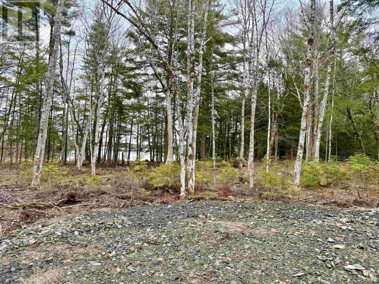 Lot 201 No 8 Highway, Milton, Nova Scotia  B0T 1K0 - Photo 6 - 202608581