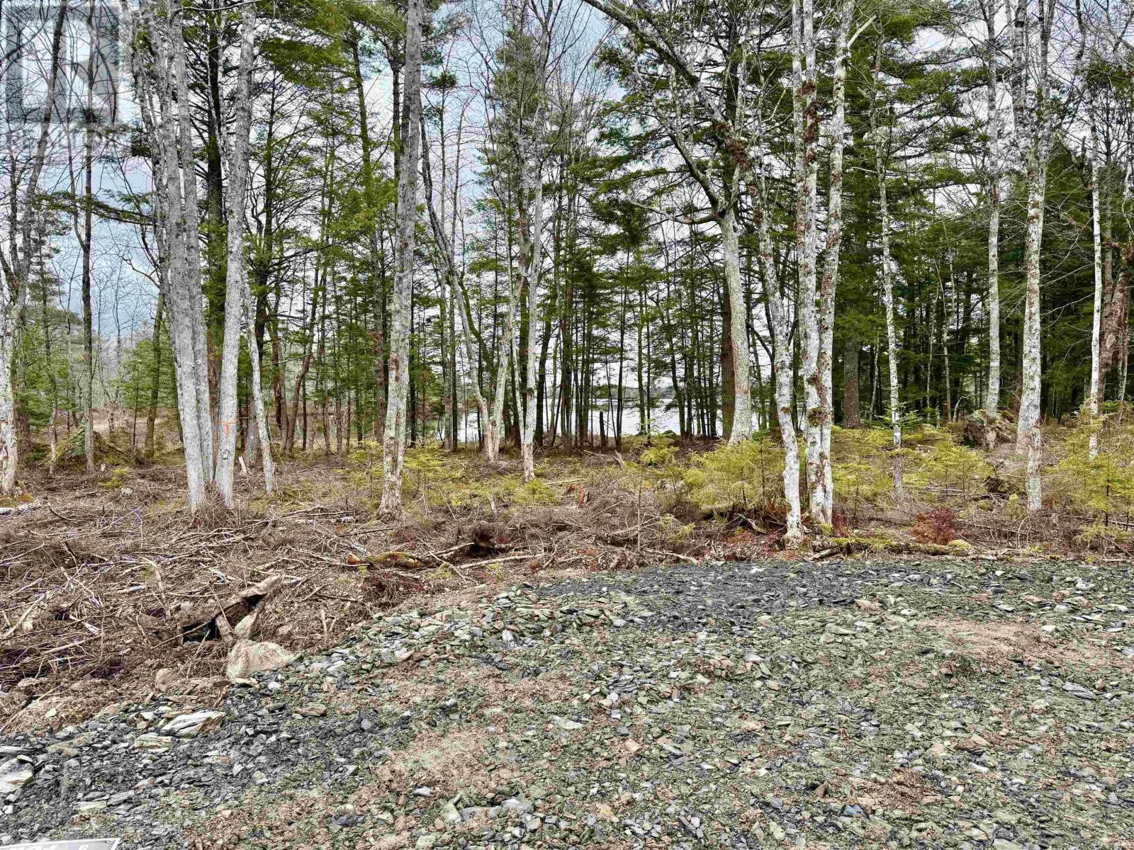 Lot 201 No 8 Highway, Milton, Nova Scotia  B0T 1K0 - Photo 5 - 202608581