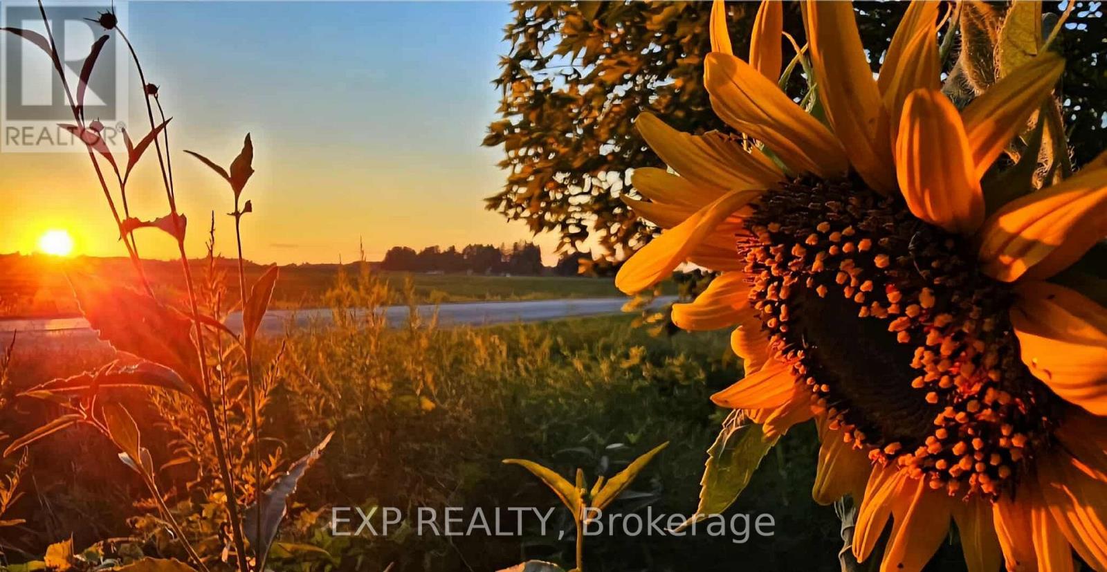 5558 Cobblehill Road, Zorra, Ontario  N0M 2M0 - Photo 46 - X13046570