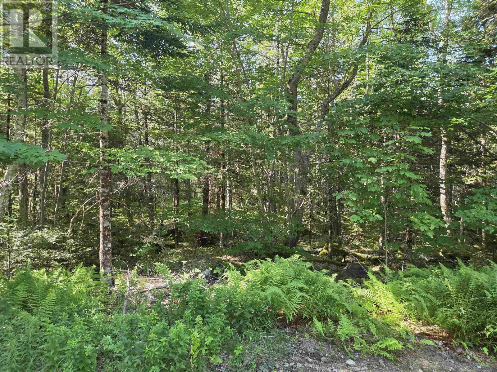 48 Lake Mulgrave Road, Victory, Nova Scotia  B0S 1B0 - Photo 10 - 202518975