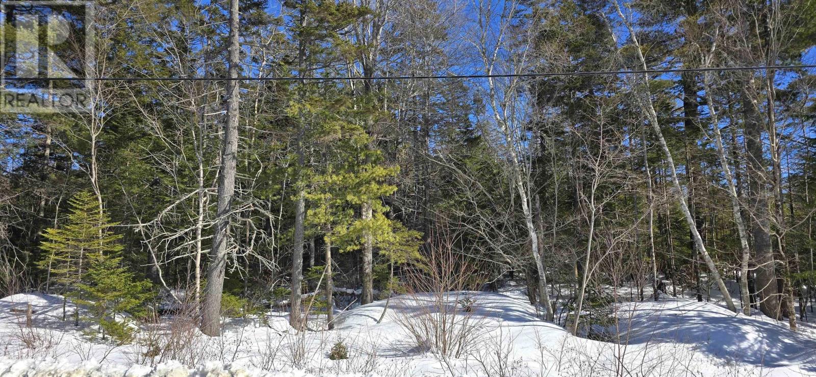 Lot 3 Station Road, Maitland, Nova Scotia  B0J 1E0 - Photo 3 - 202603619