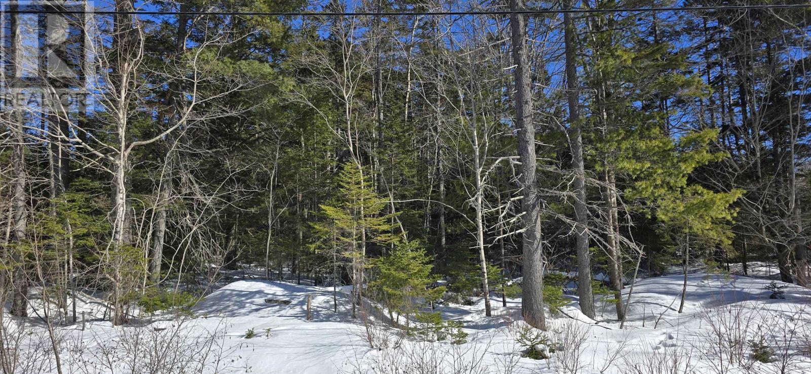 Lot 3 Station Road, Maitland, Nova Scotia  B0J 1E0 - Photo 4 - 202603619