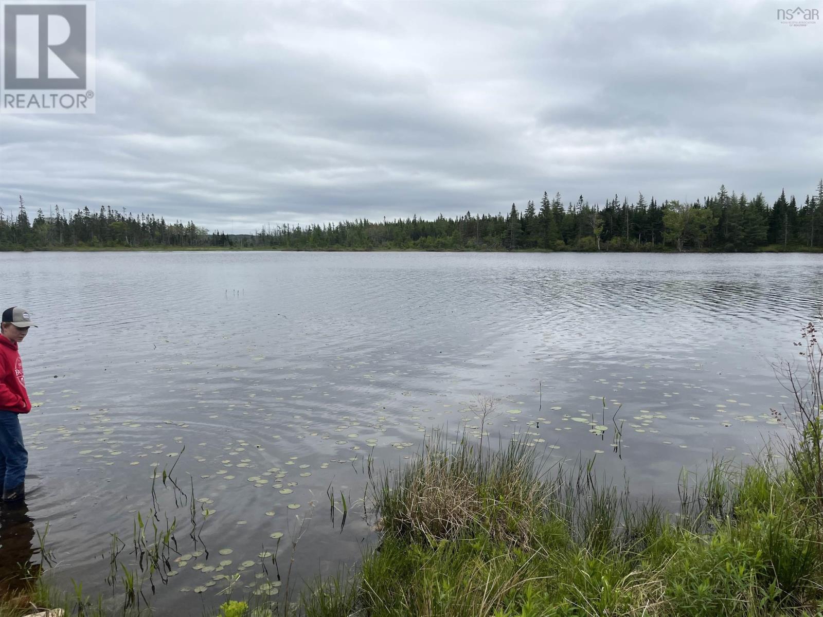 824 Salem Road, Enon, Nova Scotia  B1J 1W2 - Photo 7 - 202507911