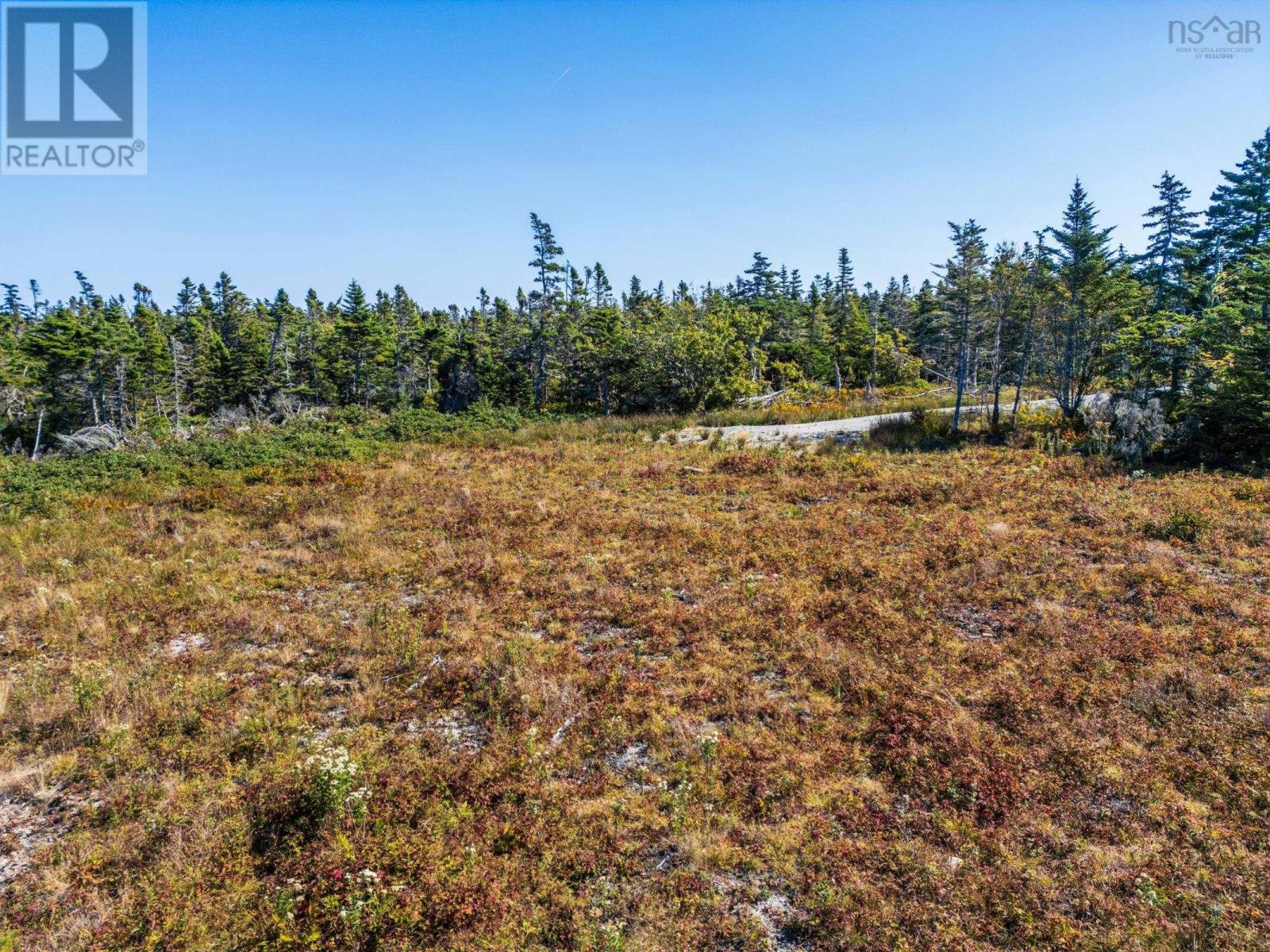 Lot Deveau Shore Road, St. Alphonse, Nova Scotia  B0W 2J0 - Photo 18 - 202523301