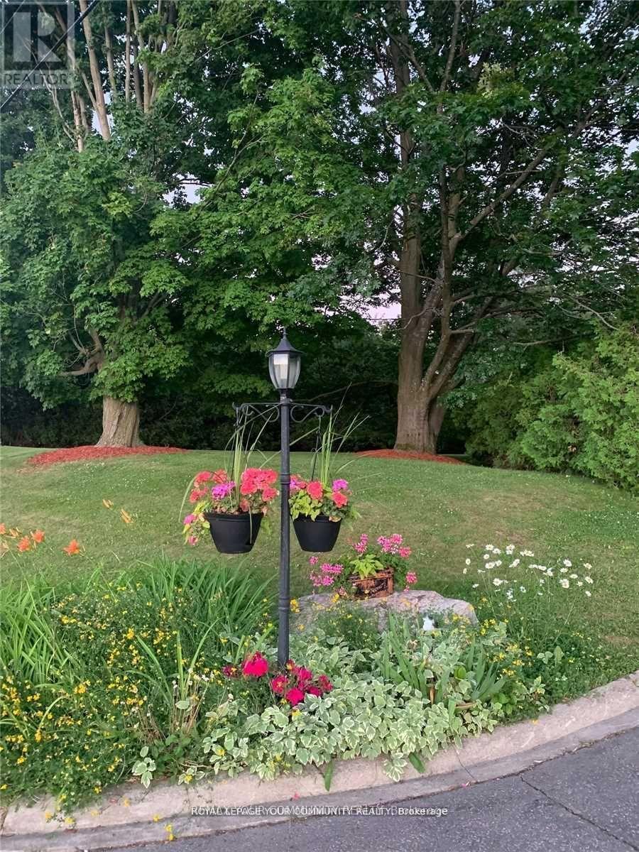 247 Harris Avenue, Richmond Hill, Ontario  L4E 3M3 - Photo 27 - N12764170