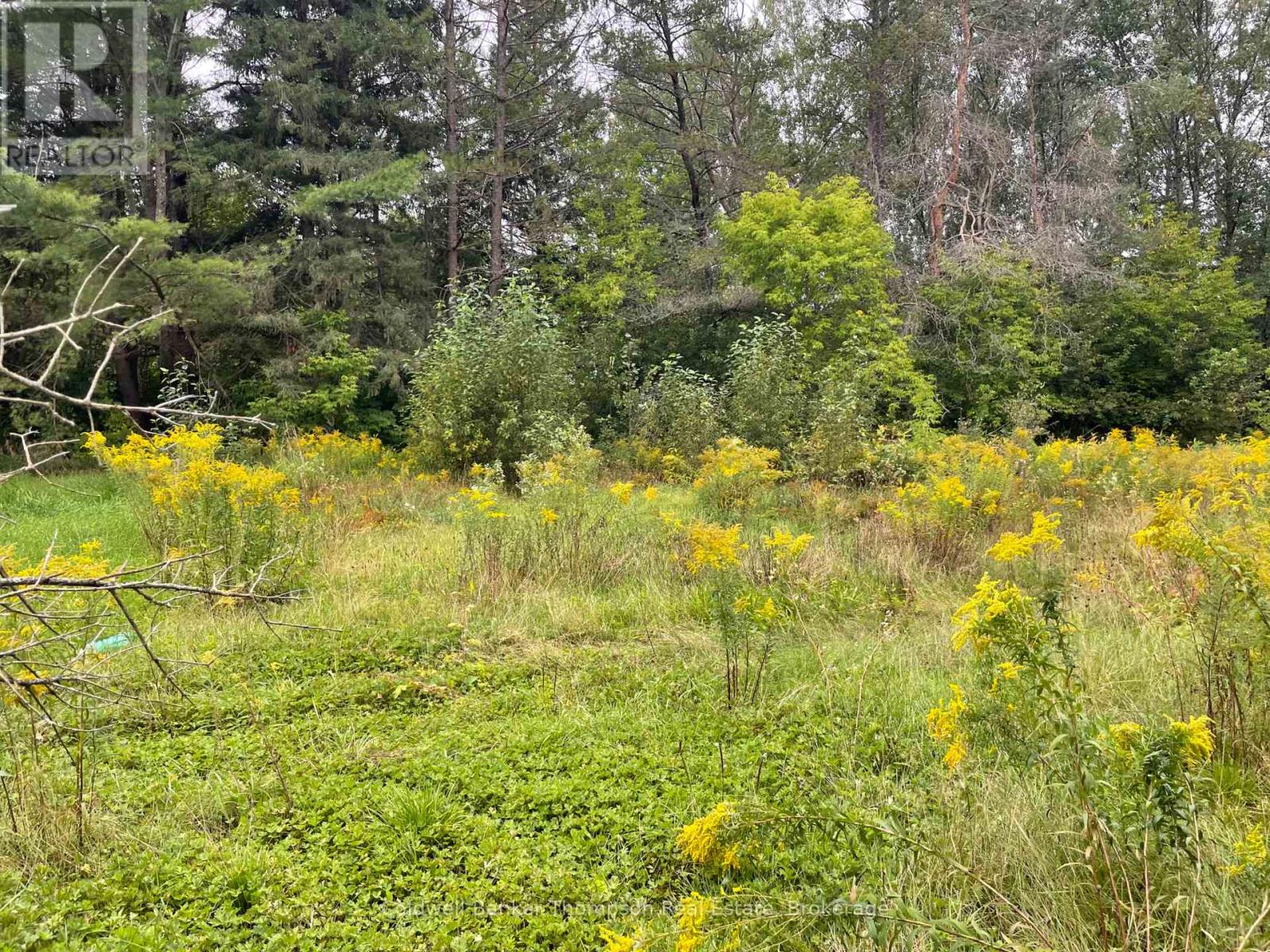 Lots 93-95 Empire Street, Kearney, Ontario  P0A 1M0 - Photo 10 - X13046606