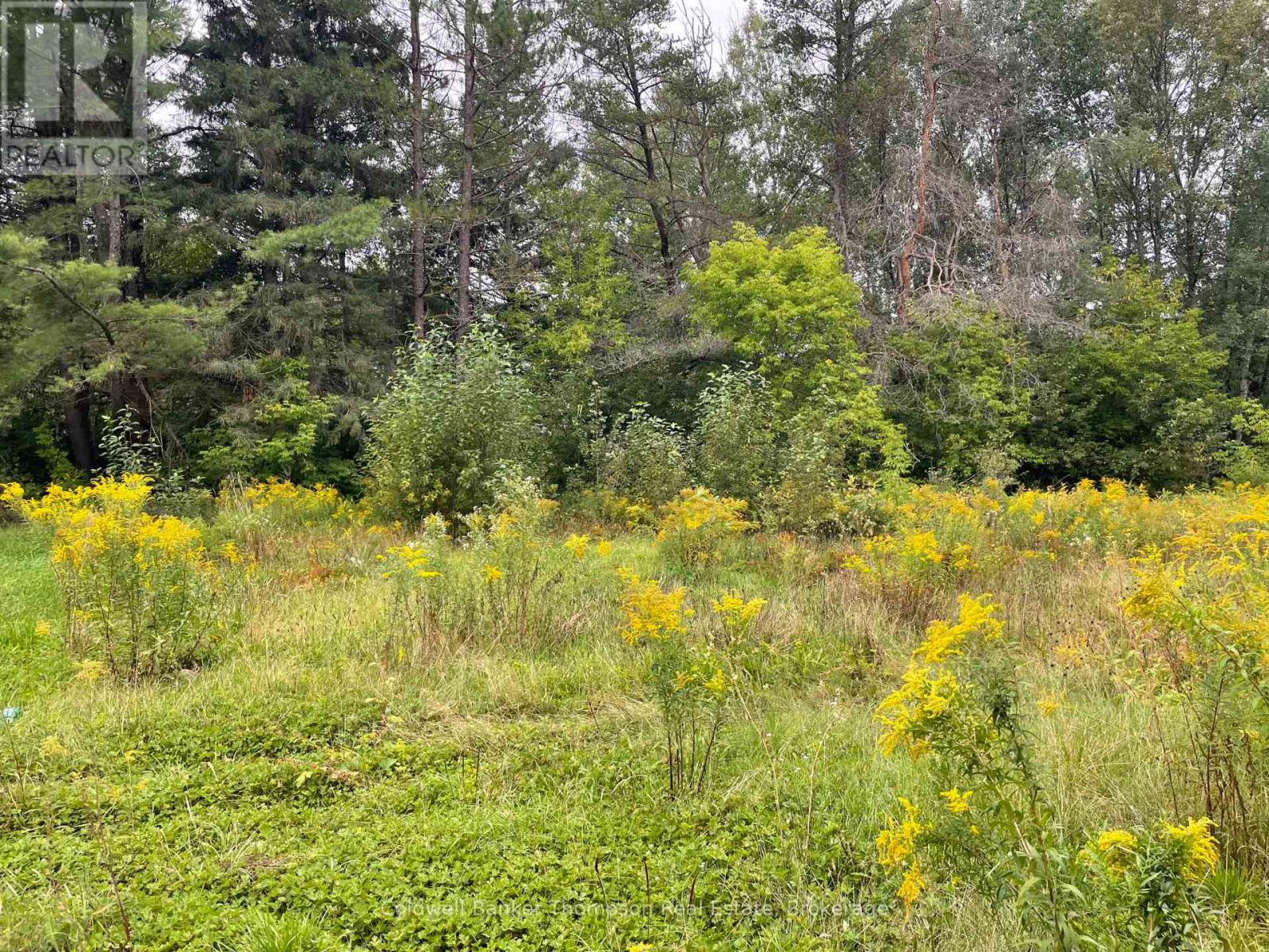 Lots 93-95 Empire Street, Kearney, Ontario  P0A 1M0 - Photo 11 - X13046606