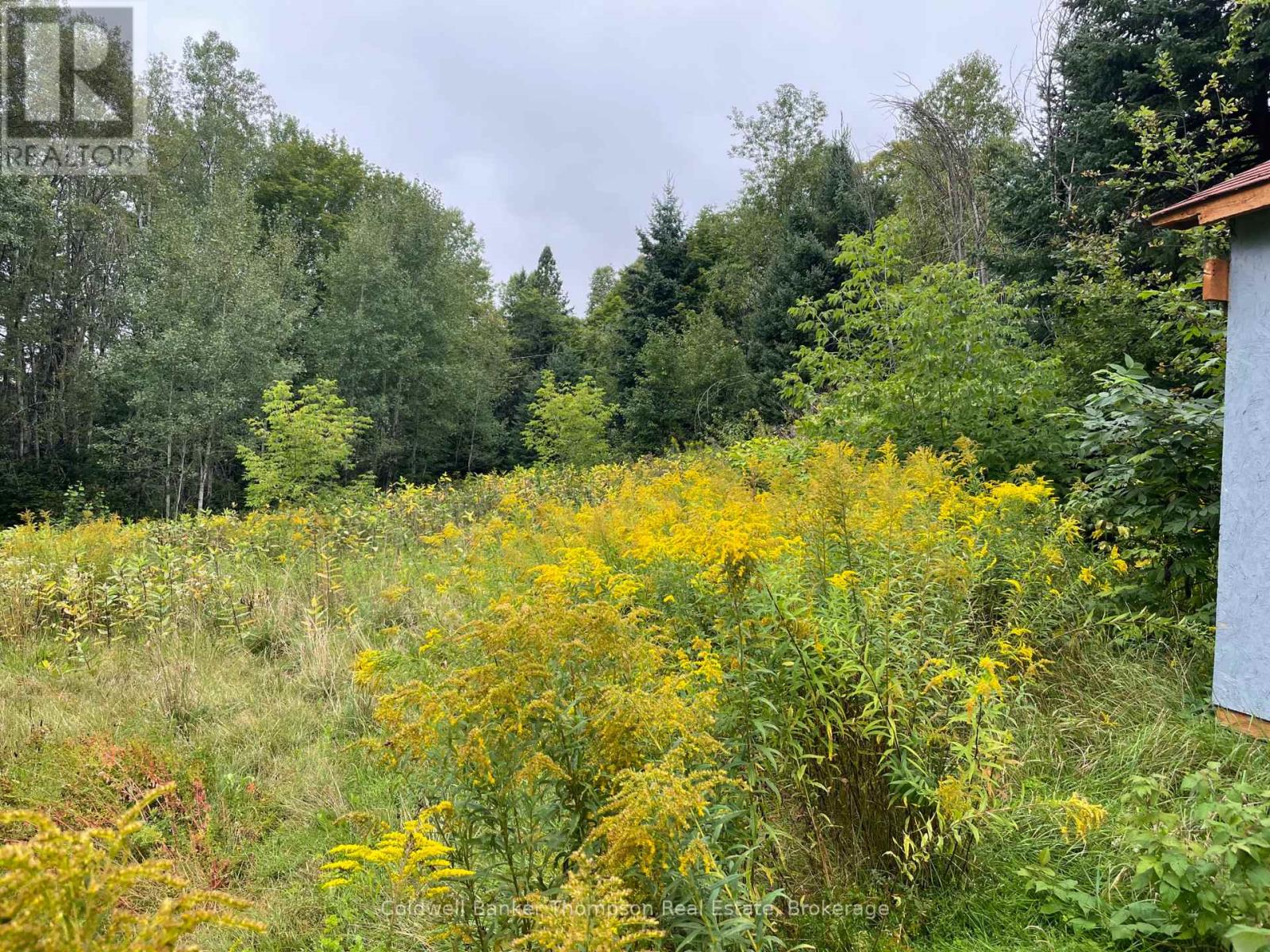 Lots 93-95 Empire Street, Kearney, Ontario  P0A 1M0 - Photo 12 - X13046606