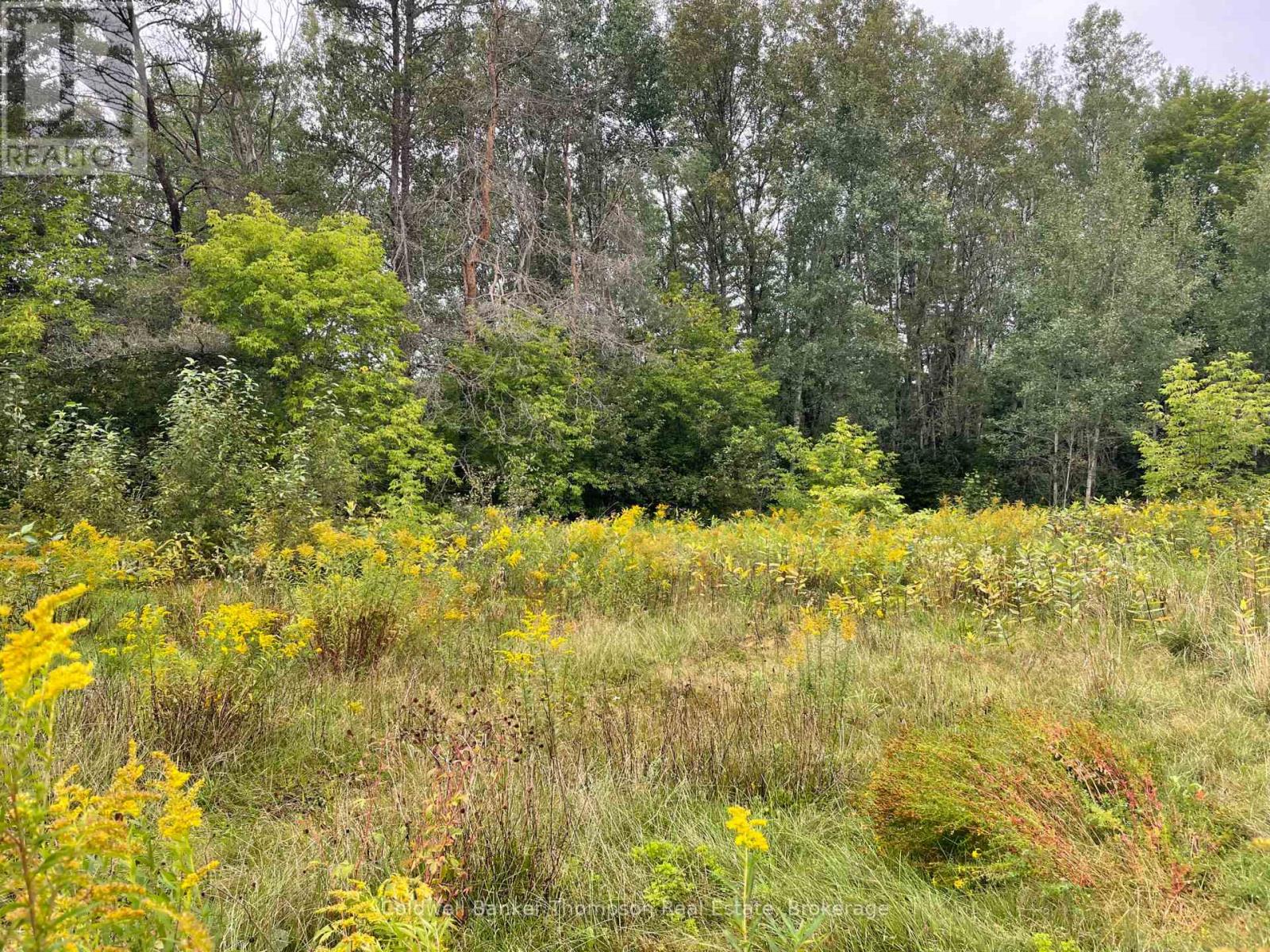 Lots 93-95 Empire Street, Kearney, Ontario  P0A 1M0 - Photo 13 - X13046606