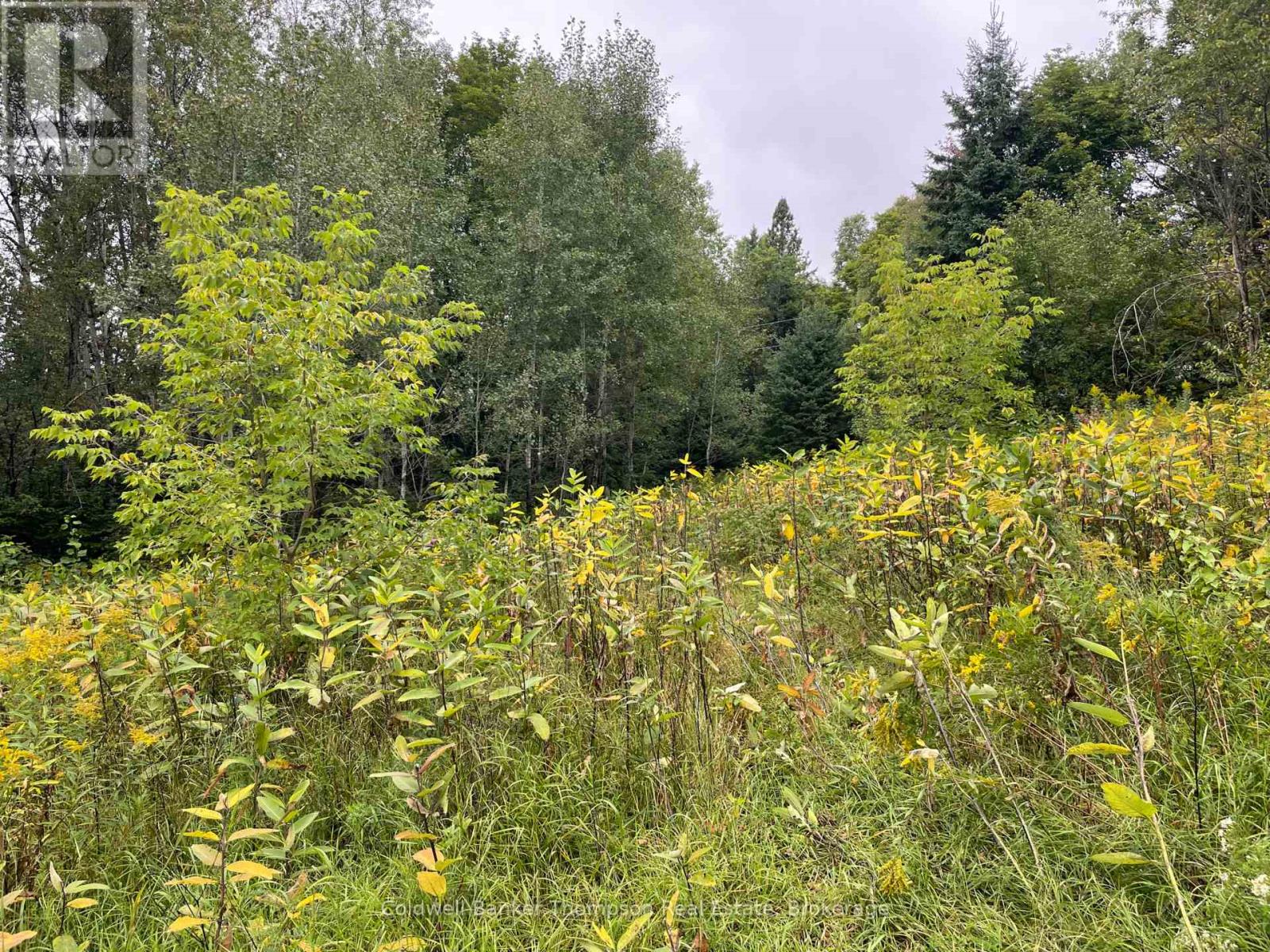 Lots 93-95 Empire Street, Kearney, Ontario  P0A 1M0 - Photo 15 - X13046606