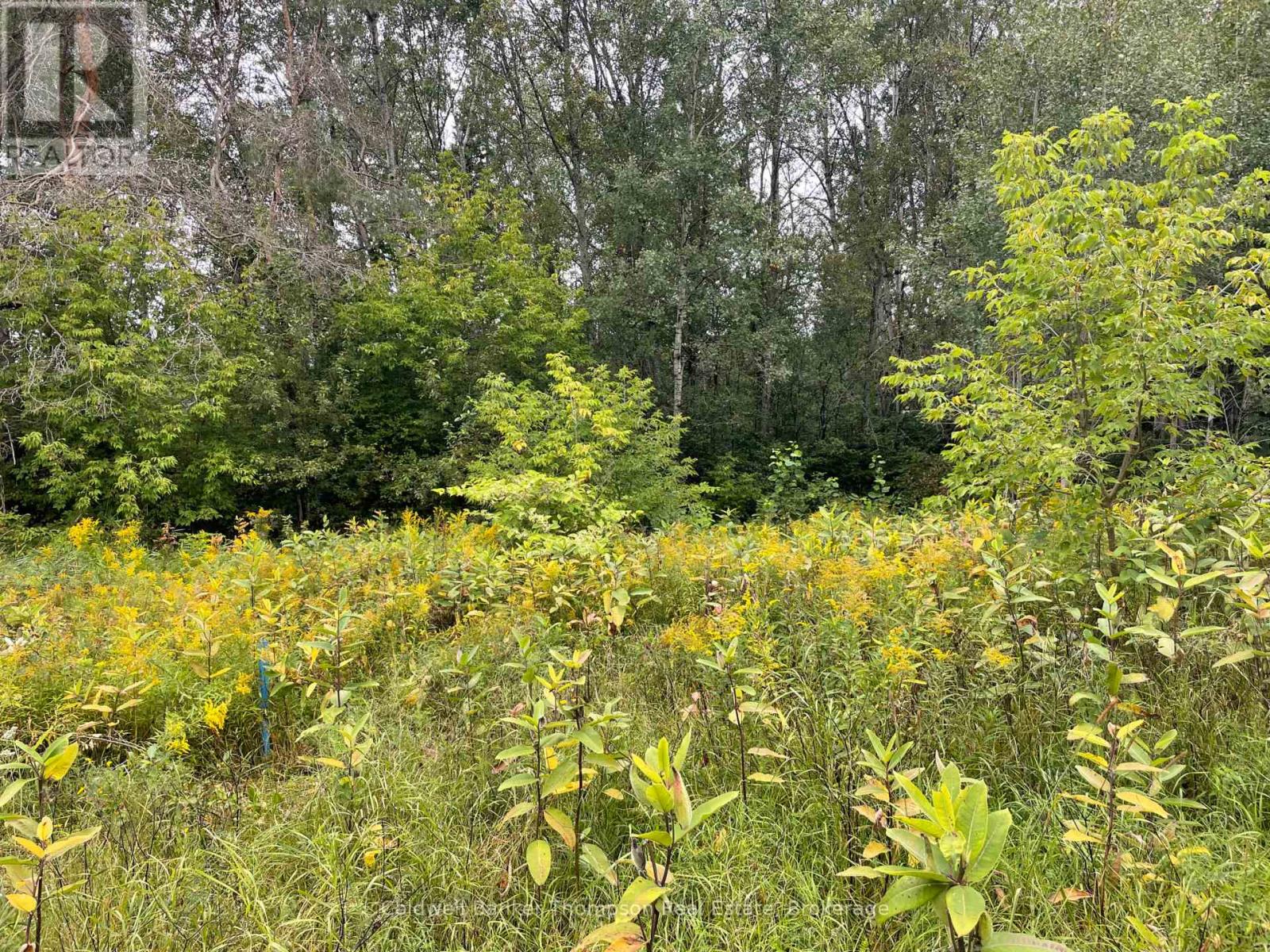 Lots 93-95 Empire Street, Kearney, Ontario  P0A 1M0 - Photo 16 - X13046606