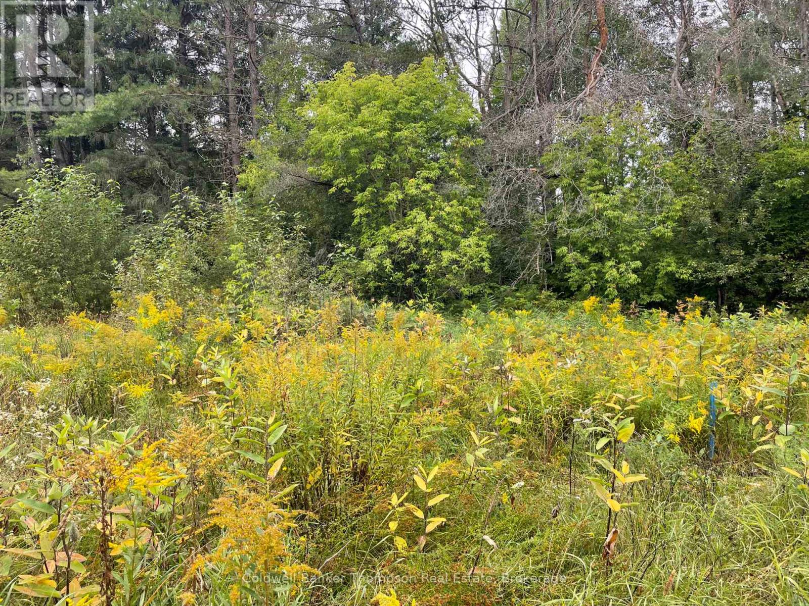 Lots 93-95 Empire Street, Kearney, Ontario  P0A 1M0 - Photo 17 - X13046606