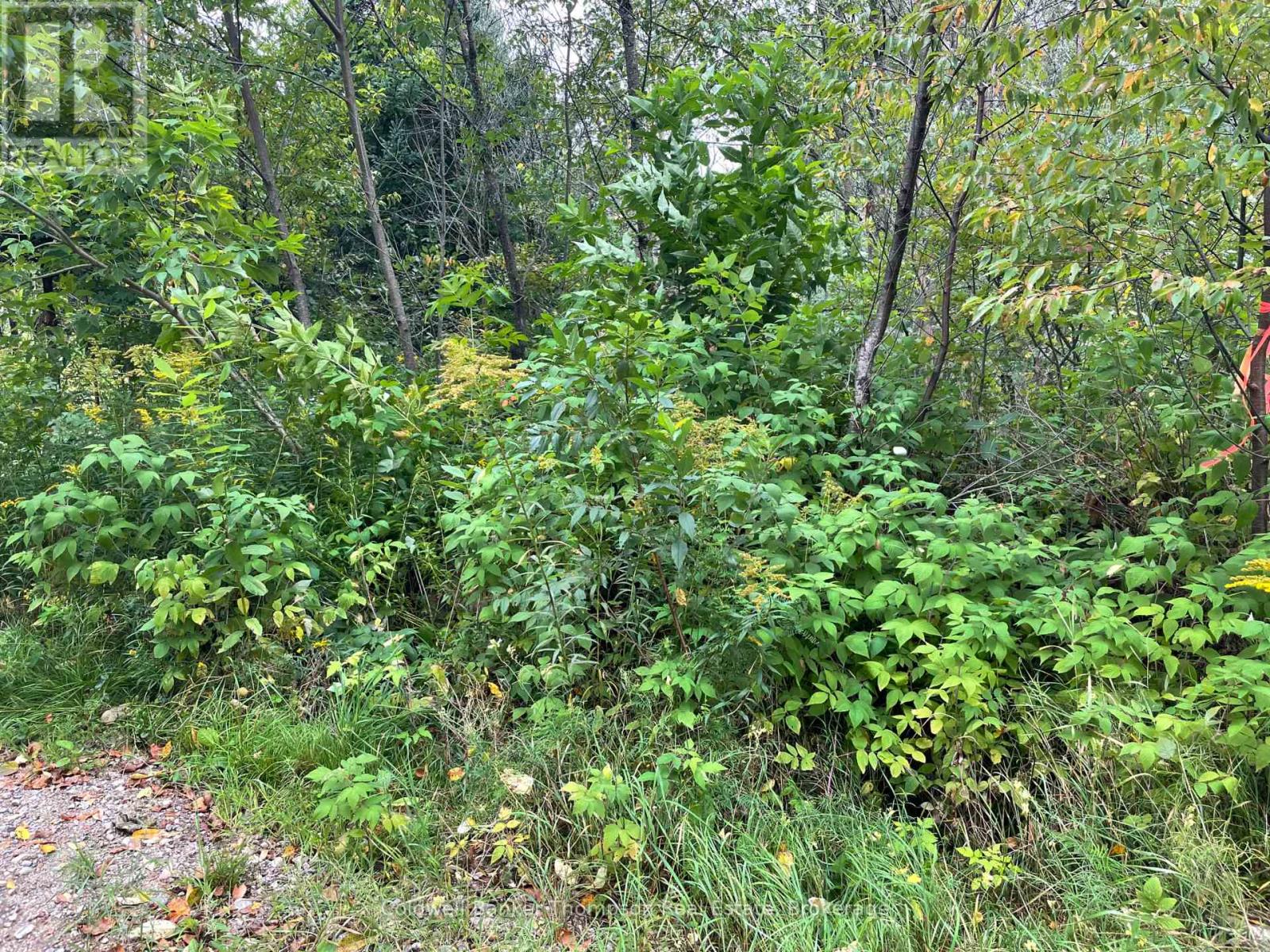 Lots 93-95 Empire Street, Kearney, Ontario  P0A 1M0 - Photo 18 - X13046606