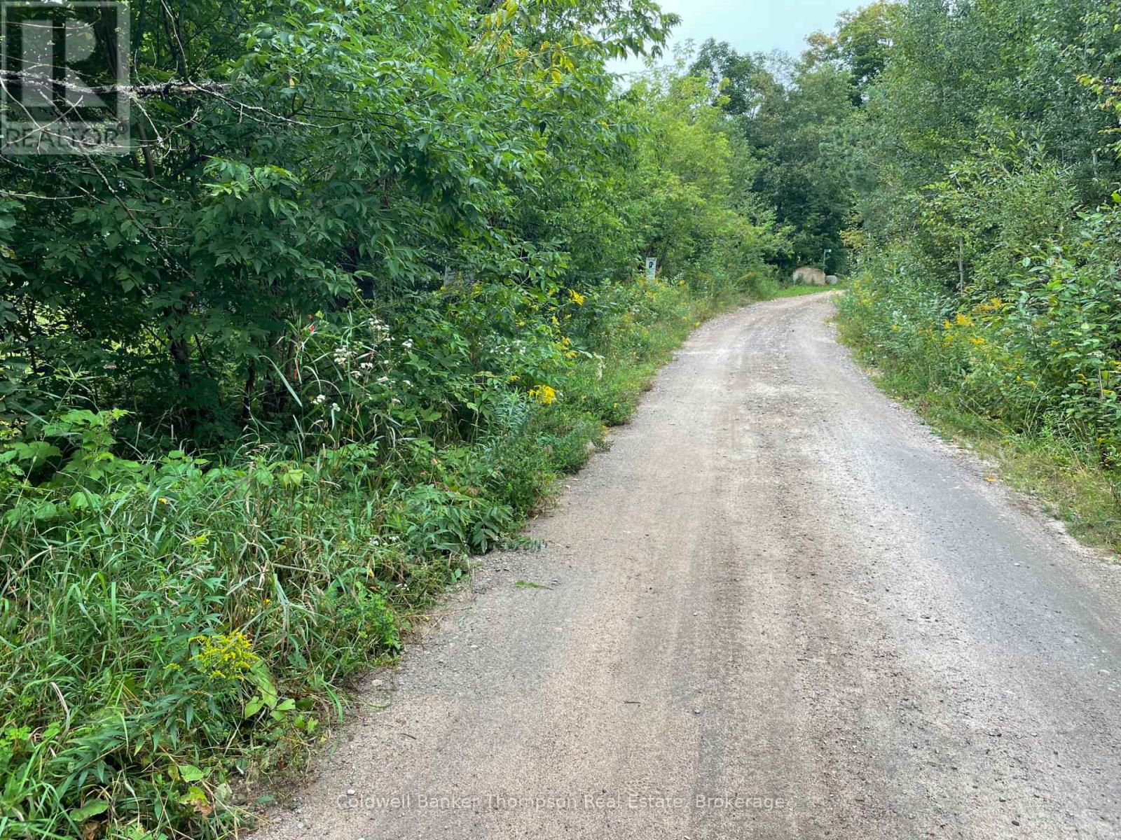 Lots 93-95 Empire Street, Kearney, Ontario  P0A 1M0 - Photo 19 - X13046606