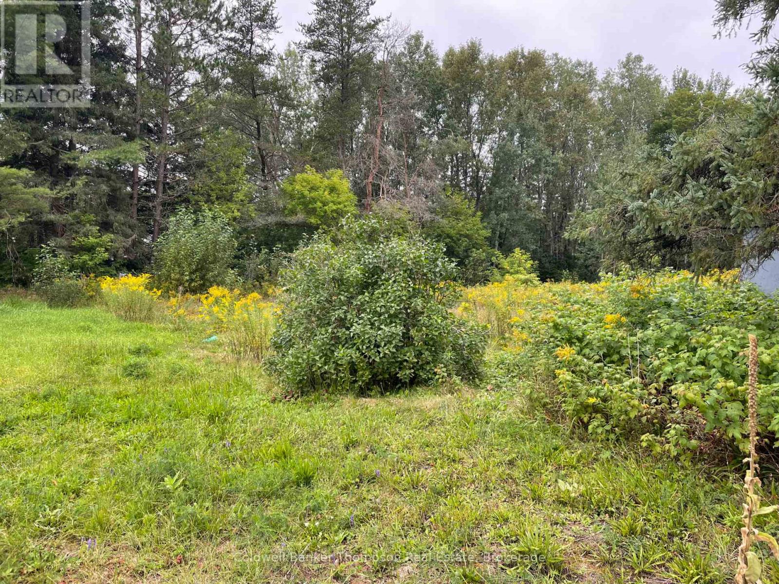 Lots 93-95 Empire Street, Kearney, Ontario  P0A 1M0 - Photo 8 - X13046606