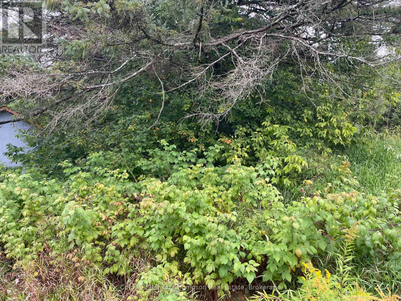 Lots 93-95 Empire Street, Kearney, Ontario  P0A 1M0 - Photo 9 - X13046606