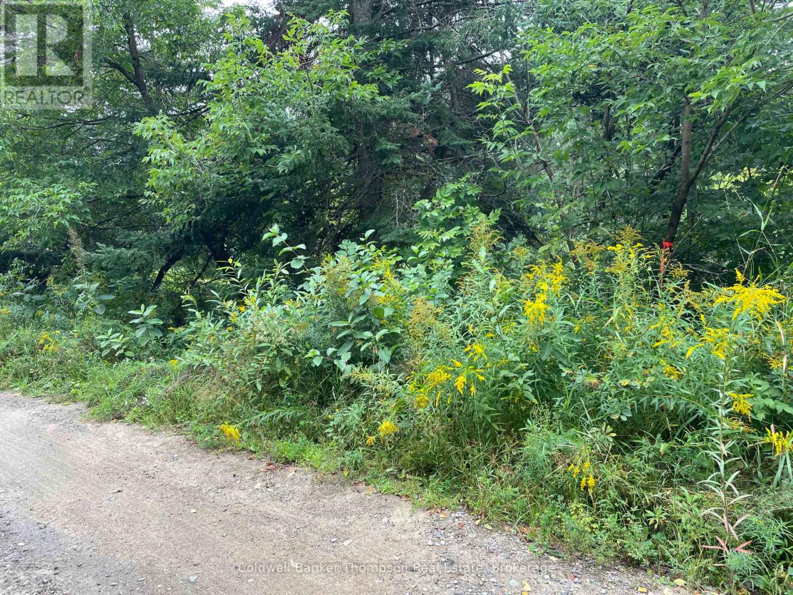 Lots 78-81 Empire Street, Kearney, Ontario  P0A 1M0 - Photo 10 - X13046610