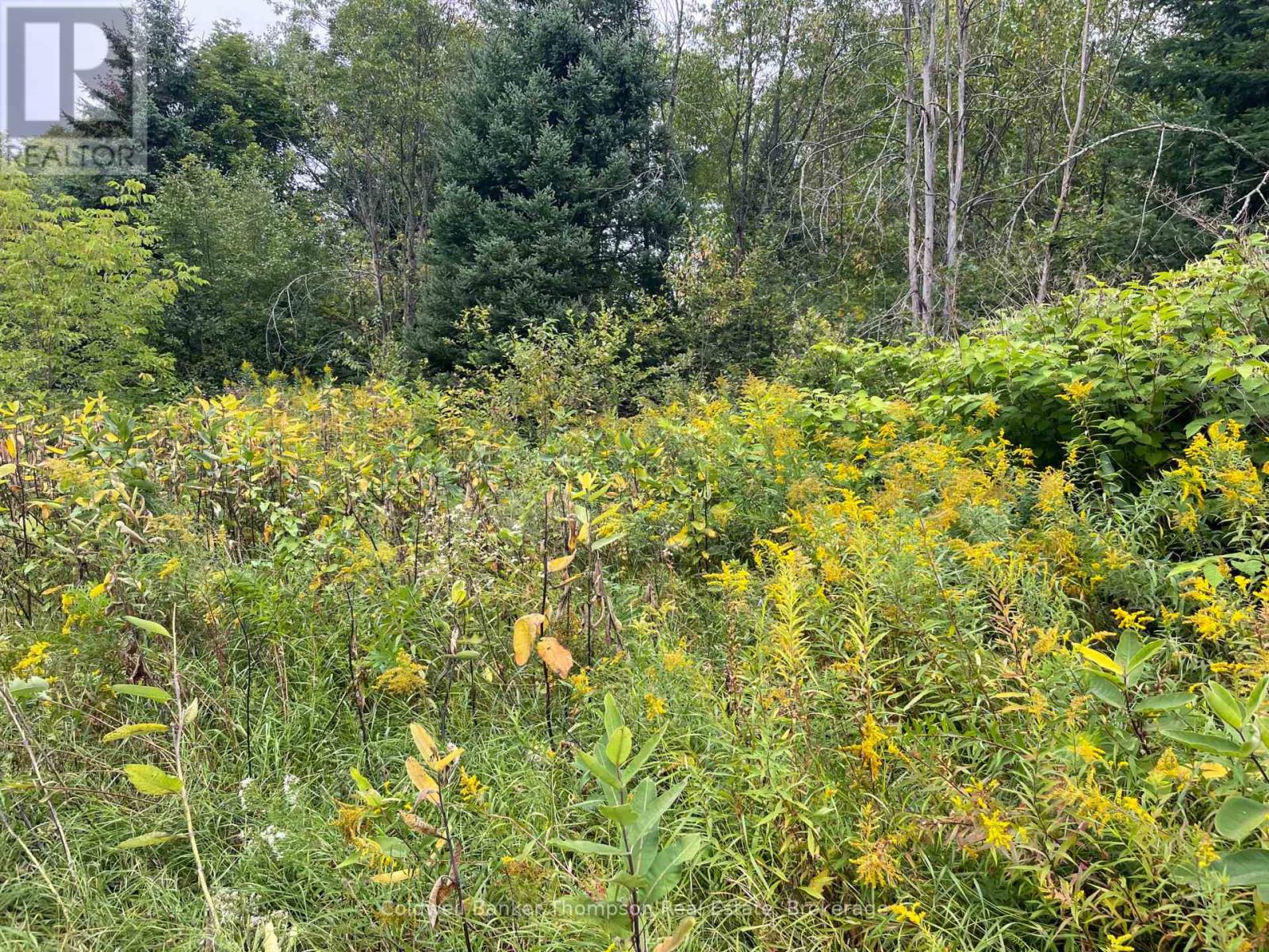 Lots 78-81 Empire Street, Kearney, Ontario  P0A 1M0 - Photo 12 - X13046610