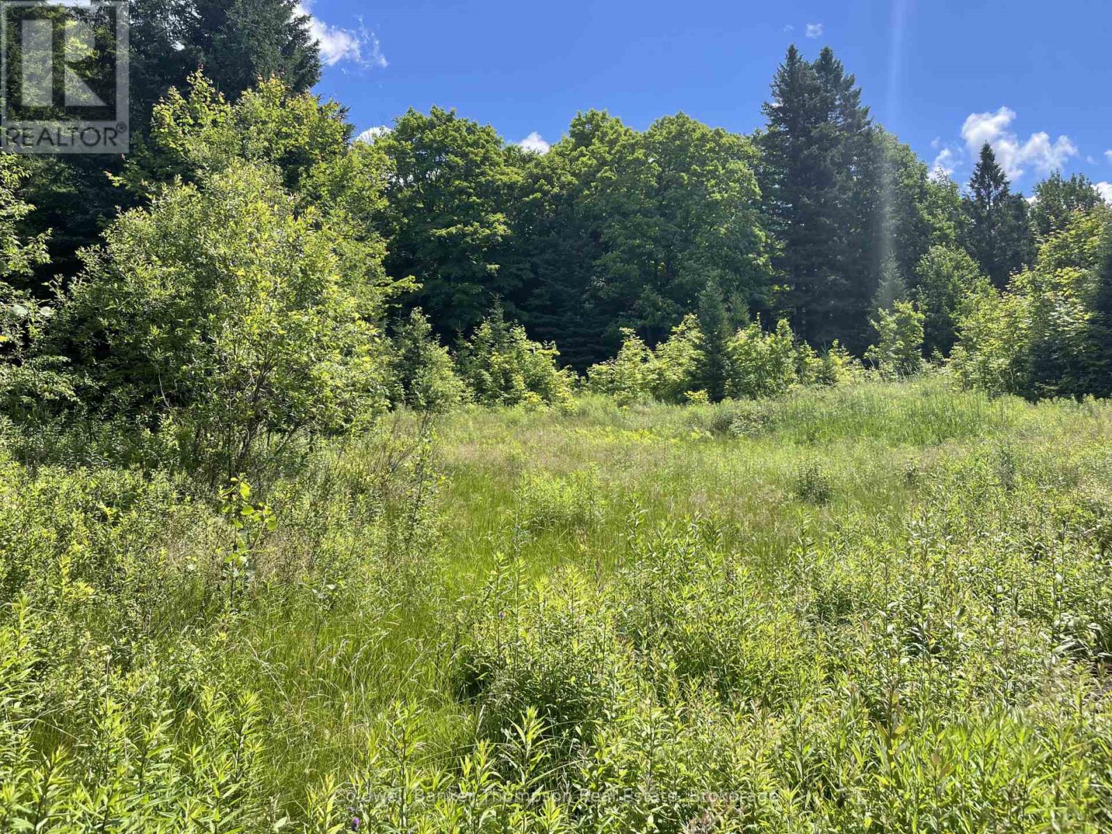 Lots 78-81 Empire Street, Kearney, Ontario  P0A 1M0 - Photo 8 - X13046610