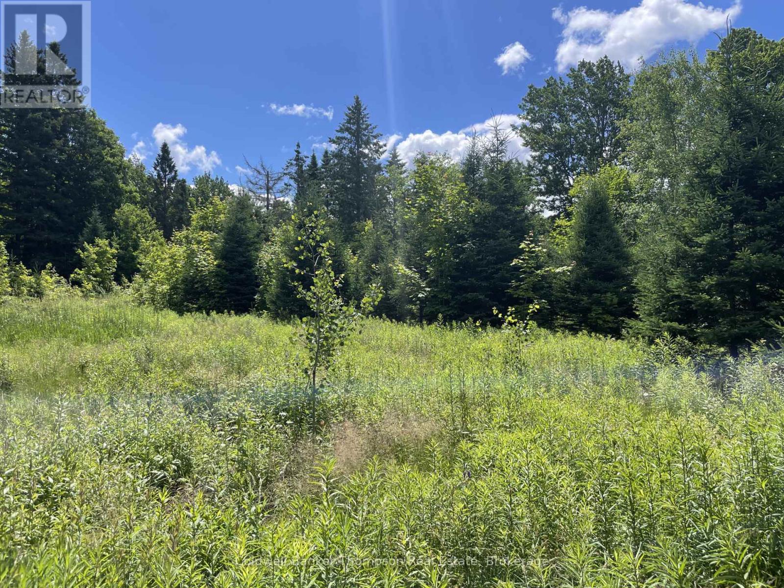 Lots 78-81 Empire Street, Kearney, Ontario  P0A 1M0 - Photo 9 - X13046610