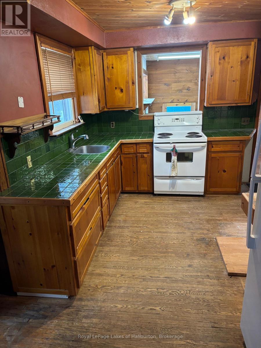 3 Anson Street, Minden Hills, Ontario  K0M 2K0 - Photo 11 - X13046670