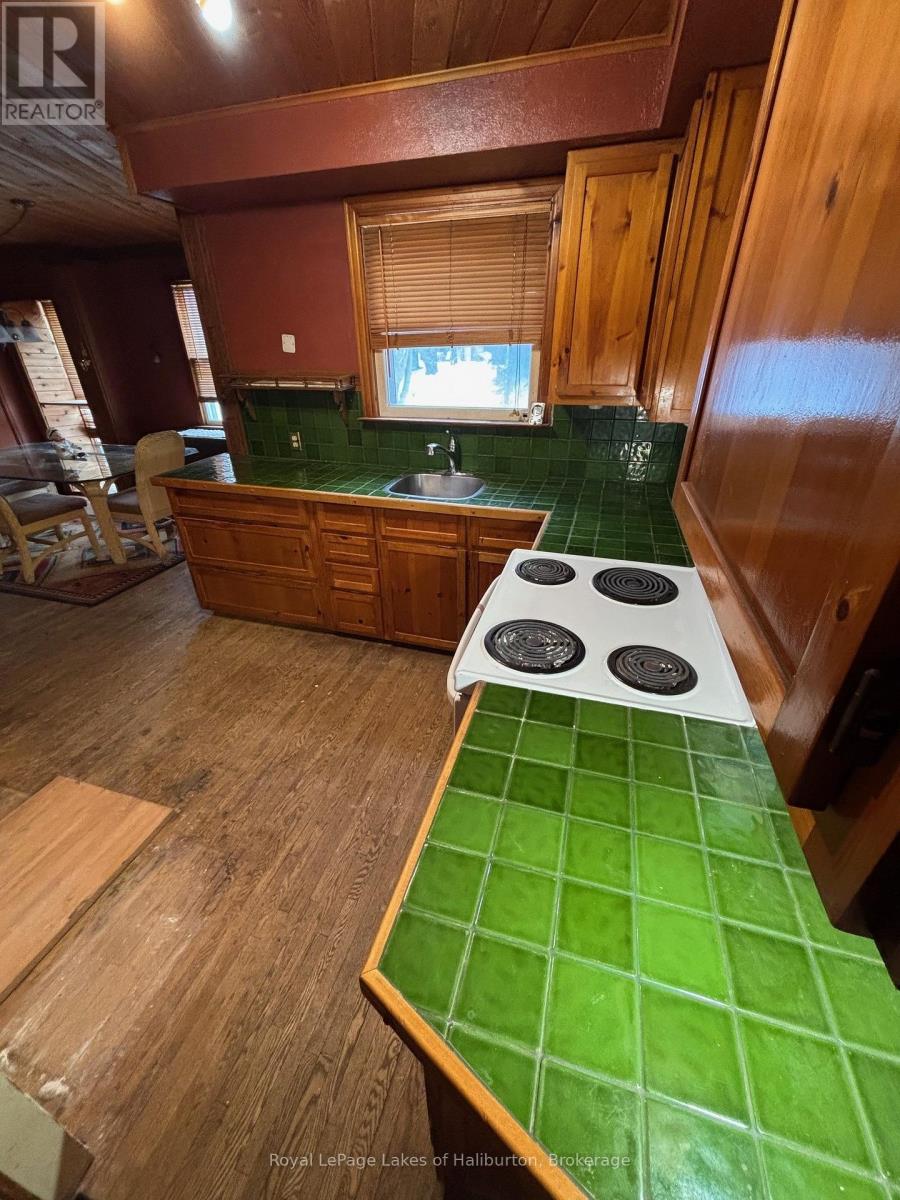 3 Anson Street, Minden Hills, Ontario  K0M 2K0 - Photo 42 - X13046670