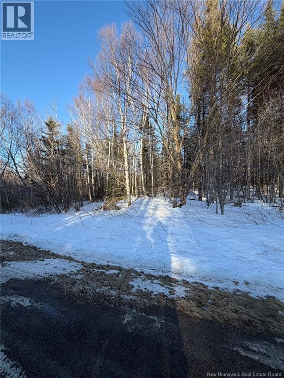 00-1 Reardon Road, Elmsville, New Brunswick  E5A 0B6 - Photo 16 - NB133282