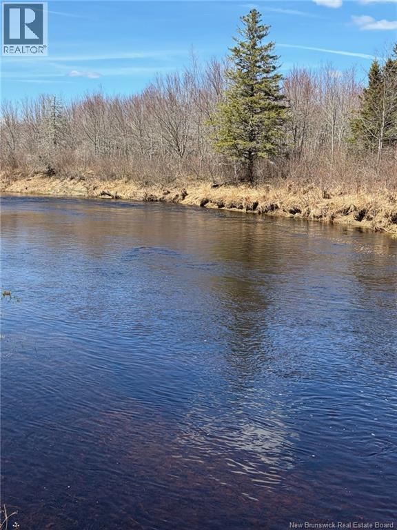 00-1 Reardon Road, Elmsville, New Brunswick  E5A 0B6 - Photo 1 - NB133282