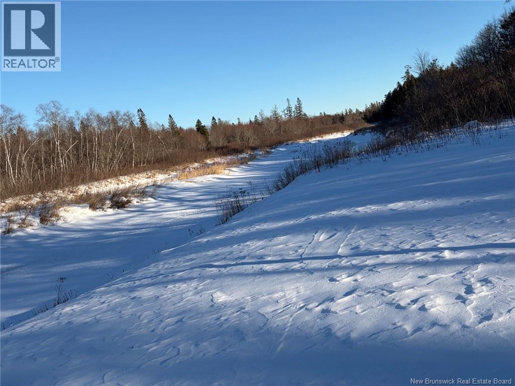 00-1 Reardon Road, Elmsville, New Brunswick  E5A 0B6 - Photo 13 - NB133282