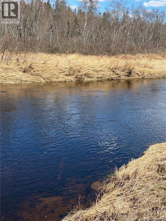 00-1 Reardon Road, Elmsville, New Brunswick  E5A 0B6 - Photo 7 - NB133282