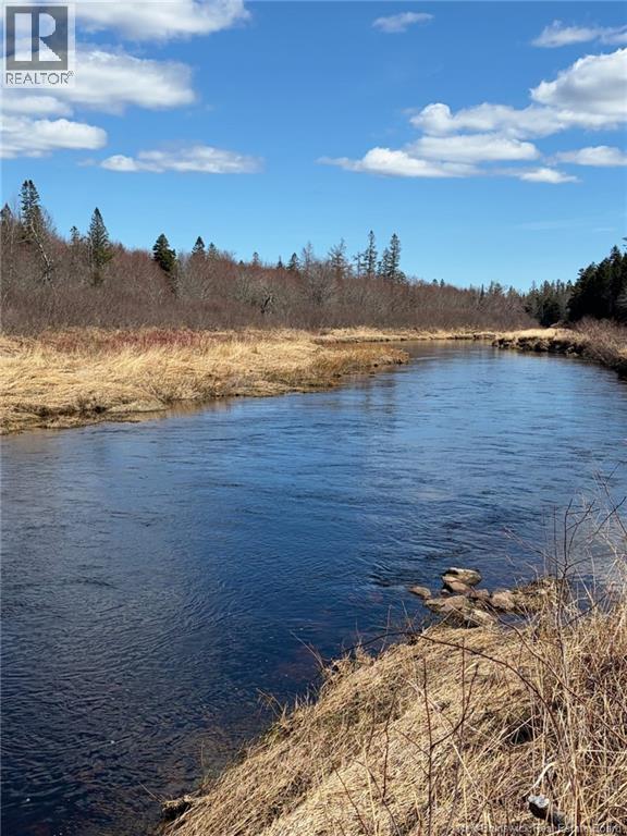 00-1 Reardon Road, Elmsville, New Brunswick  E5A 0B6 - Photo 9 - NB133282