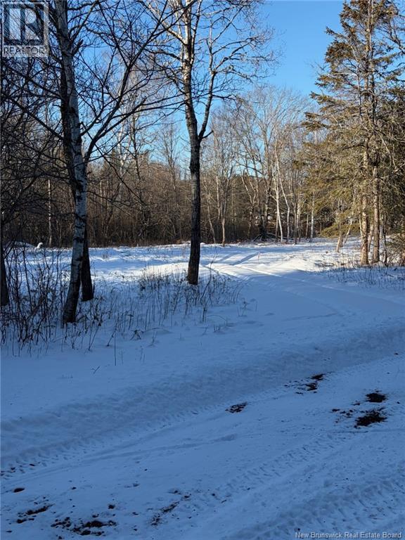 00-1 Reardon Road, Elmsville, New Brunswick  E5A 0B6 - Photo 14 - NB133282