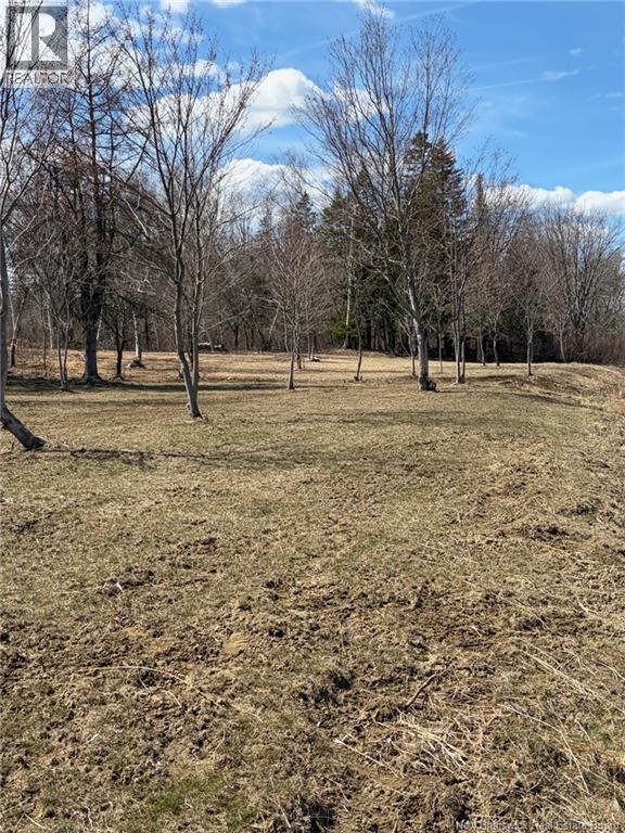 00-1 Reardon Road, Elmsville, New Brunswick  E5A 0B6 - Photo 6 - NB133282