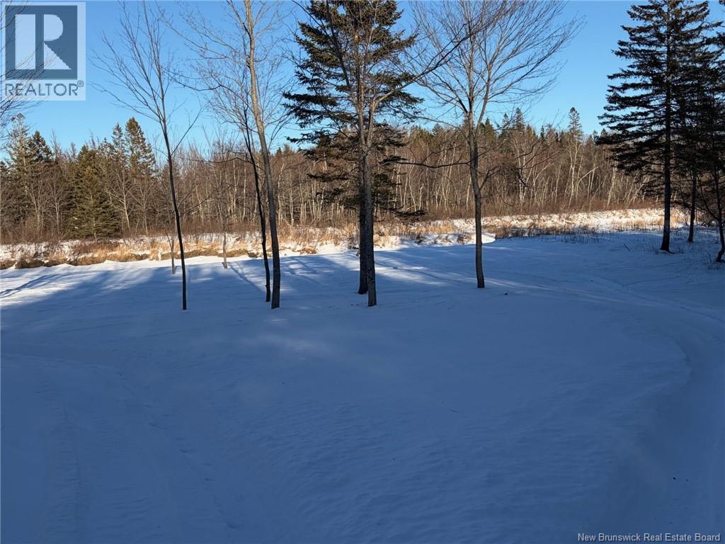 00-1 Reardon Road, Elmsville, New Brunswick  E5A 0B6 - Photo 15 - NB133282